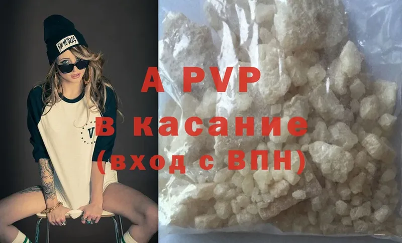 A-PVP СК  Гусев 